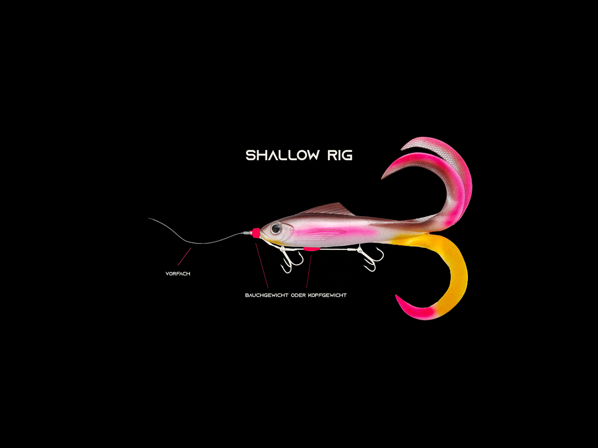 Shallow Dive Rig Produkte – Everbait